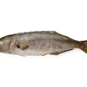 Anchoa de banco eviscerada
