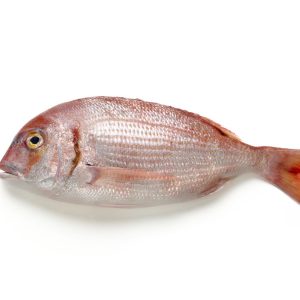 Besugo eviscerado