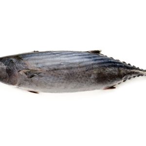 Bonito Entero en Bloque