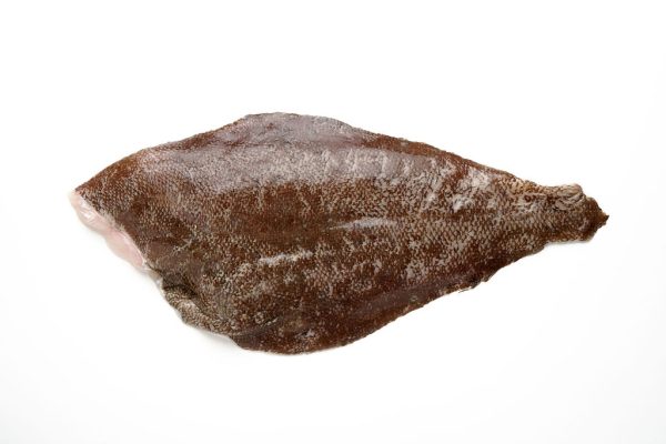 Filet de lenguado sin espinas IQF