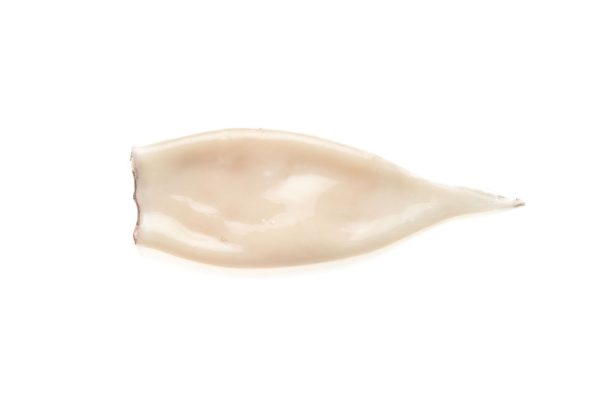 Tubo de Calamar IQF