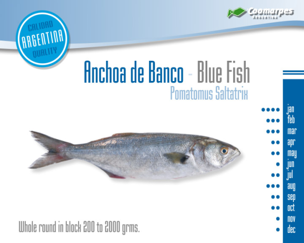Anchoa de banco eviscerada - Imagen 2