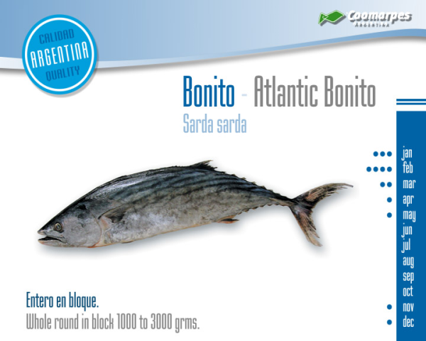Bonito Entero en Bloque - Imagen 2