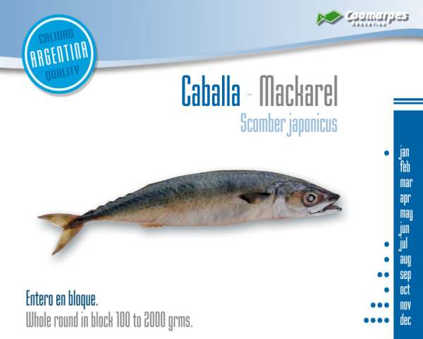 Caballa entera en bloque - Imagen 2
