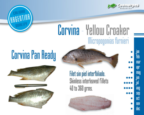 Corvina entera en bloque - Imagen 2