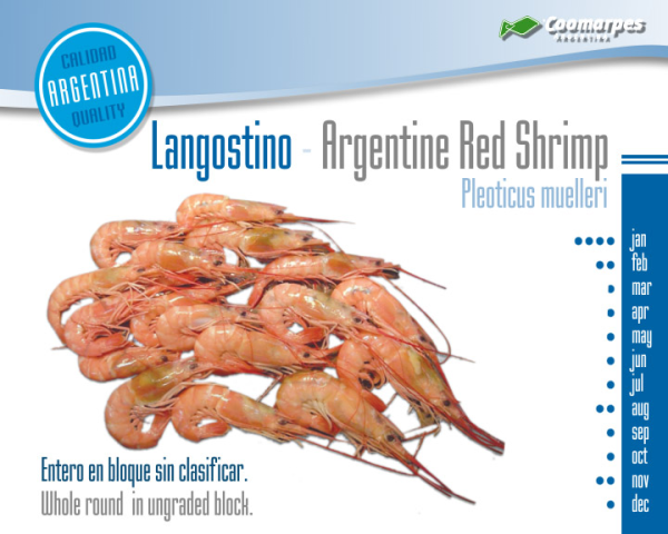 Langostino entero crudo