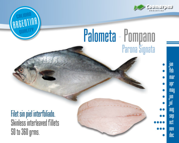 Palometa entera en bloque - Imagen 2