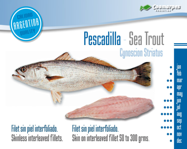 Pescadilla eviscerada - Imagen 2